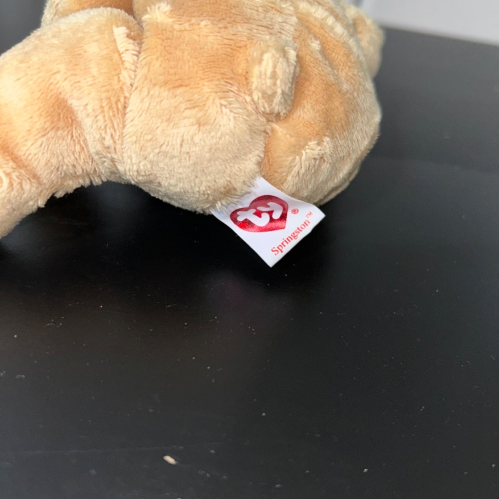 2006 Ty Beanie Baby "Springsteen" - Picture 3 of 4